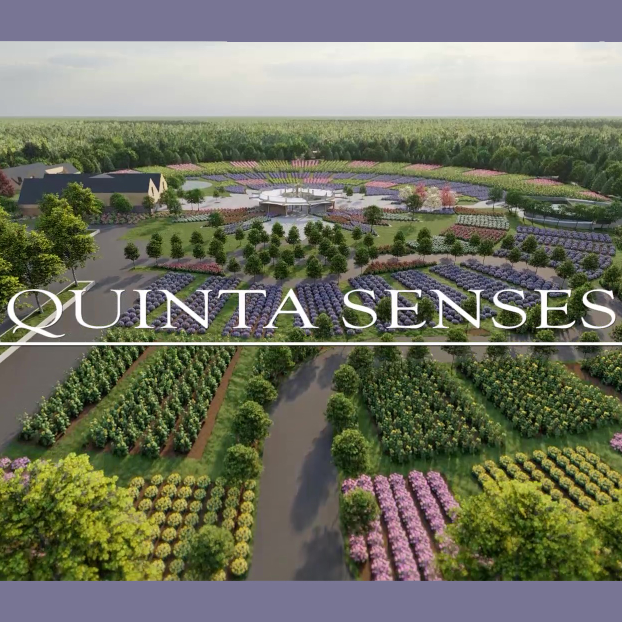 Quinta Senses